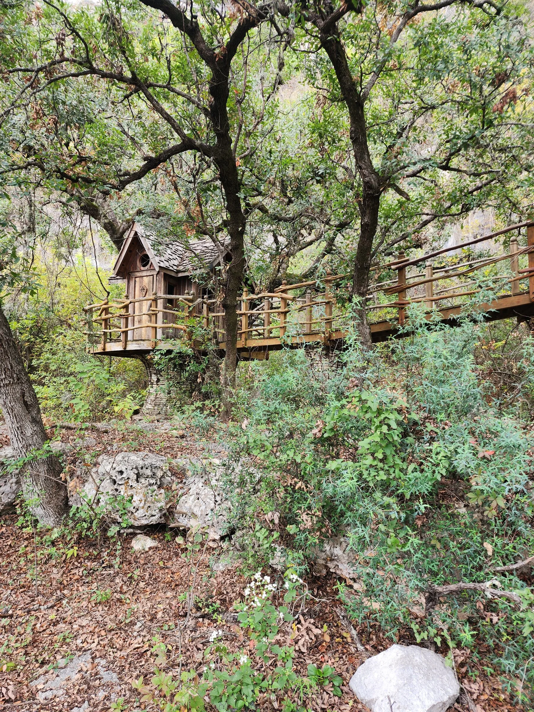 Custom outdoor treehouse